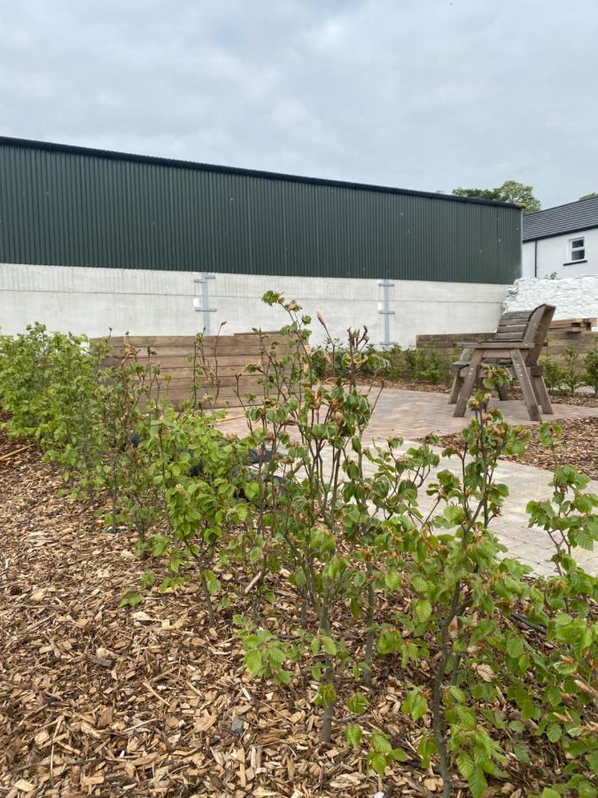 Ballymullock Barn Lofts Carncastle Eksteriør bilde