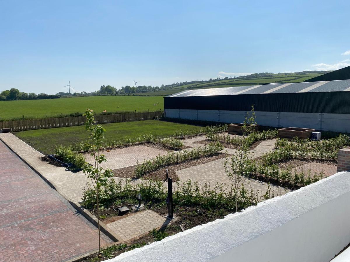 Ballymullock Barn Lofts Carncastle Eksteriør bilde